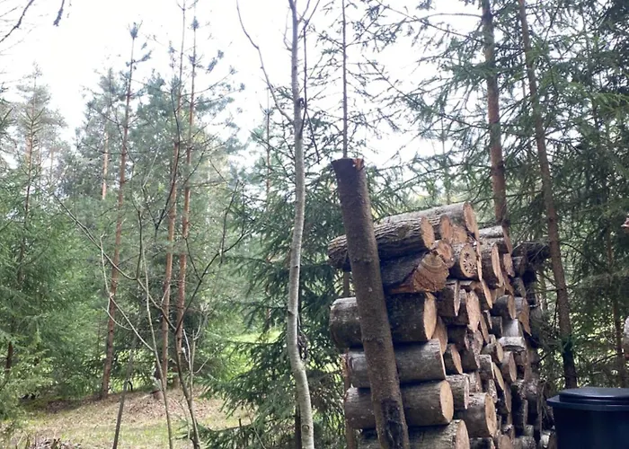 Campsite Karula - Lakeside Camper, Treetent, Sups Included!